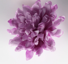 Spilla a Fiore in Tessuto - Fun&Fun Couture