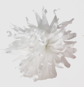 Spilla a Fiore in Tessuto - Fun&Fun Couture