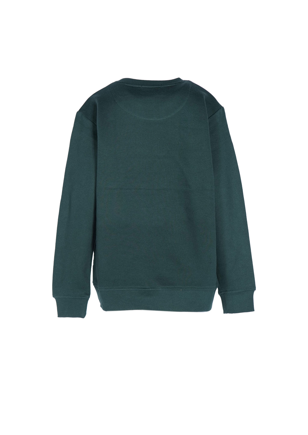 SVJST02441.VERDE.2.jpg