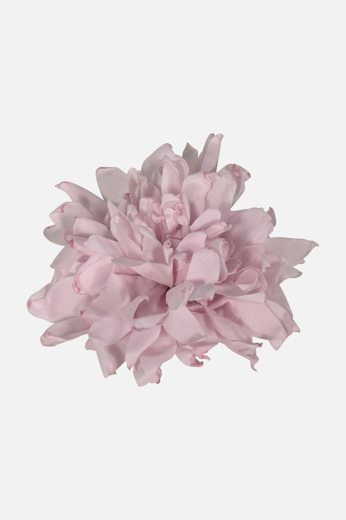 FNCAC01679.PINK.2.jpg