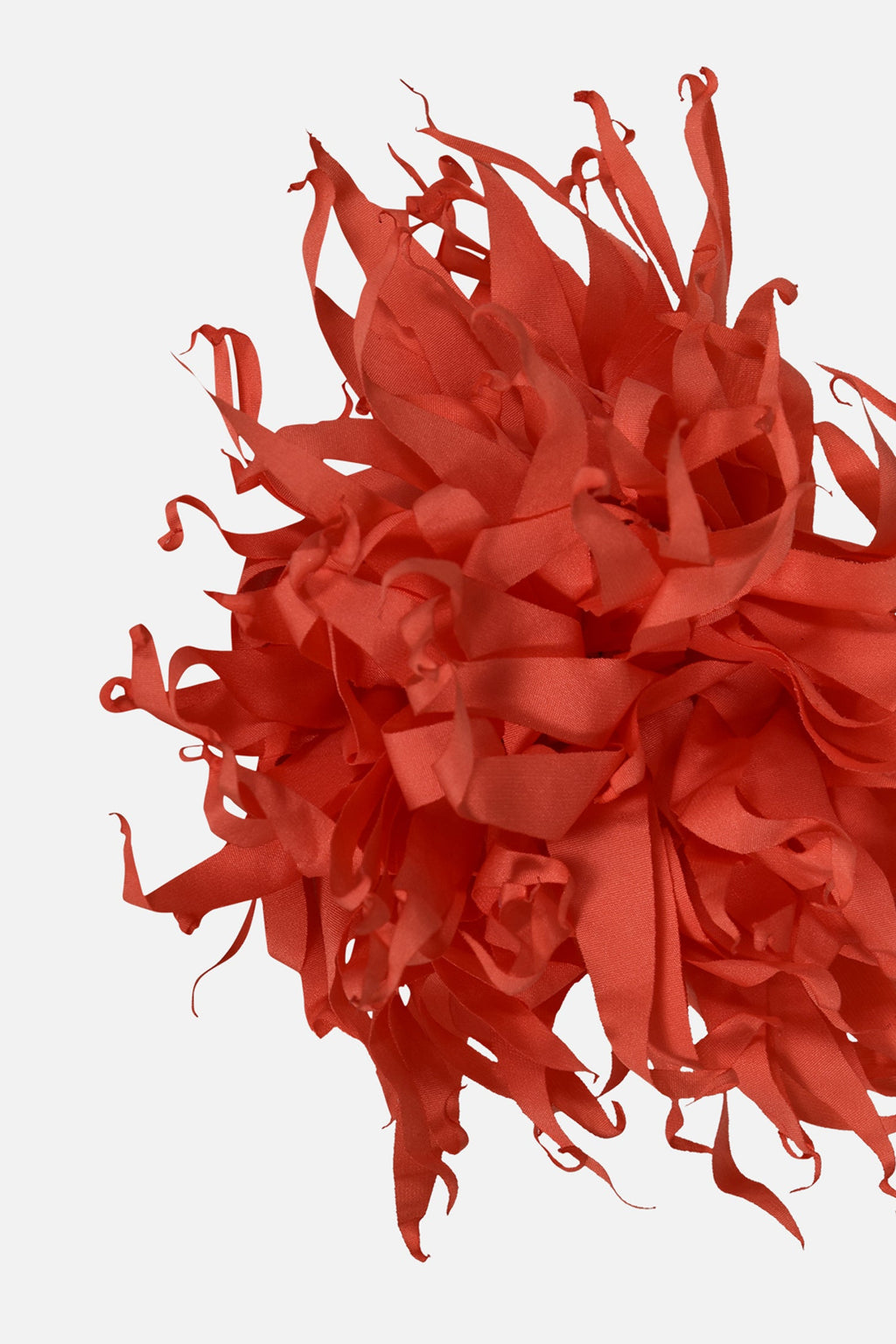 FNCAC01680.CORAL.3.jpg