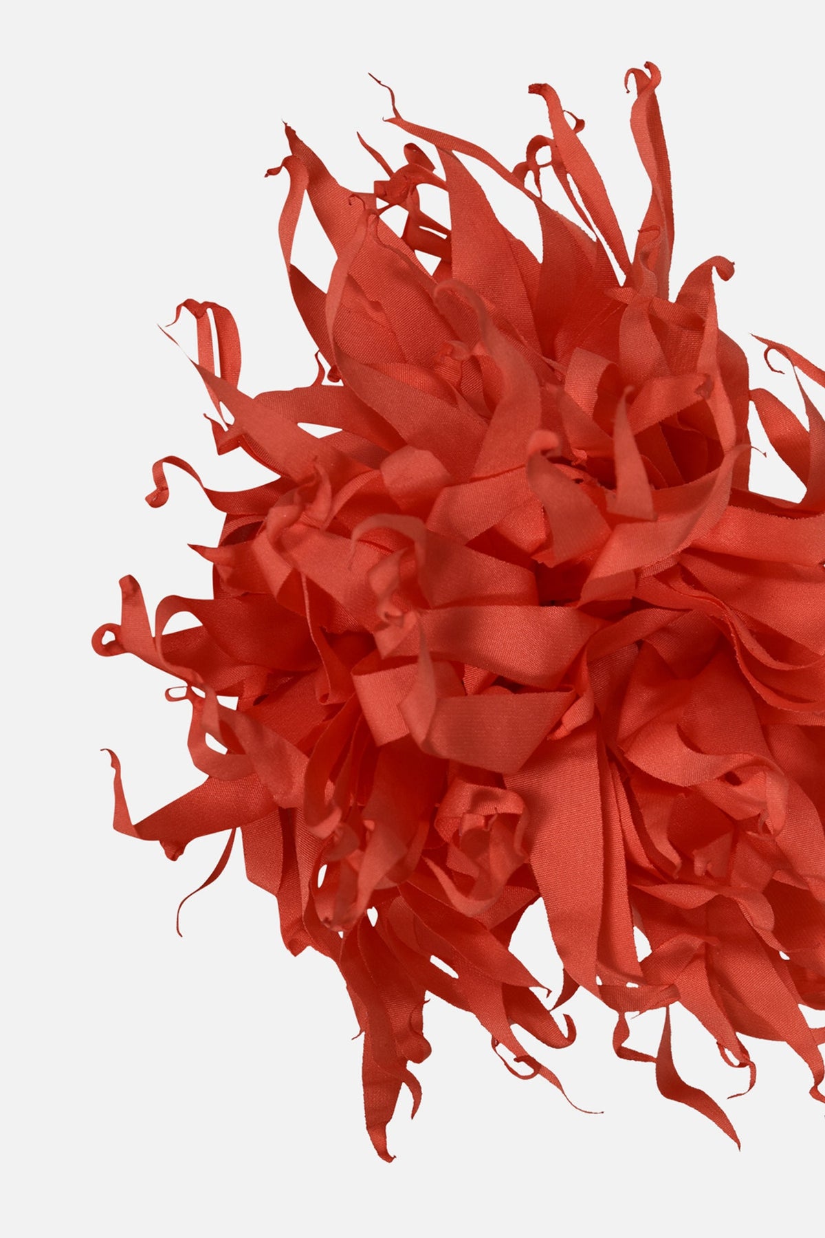 FNCAC01680.CORAL.3.jpg