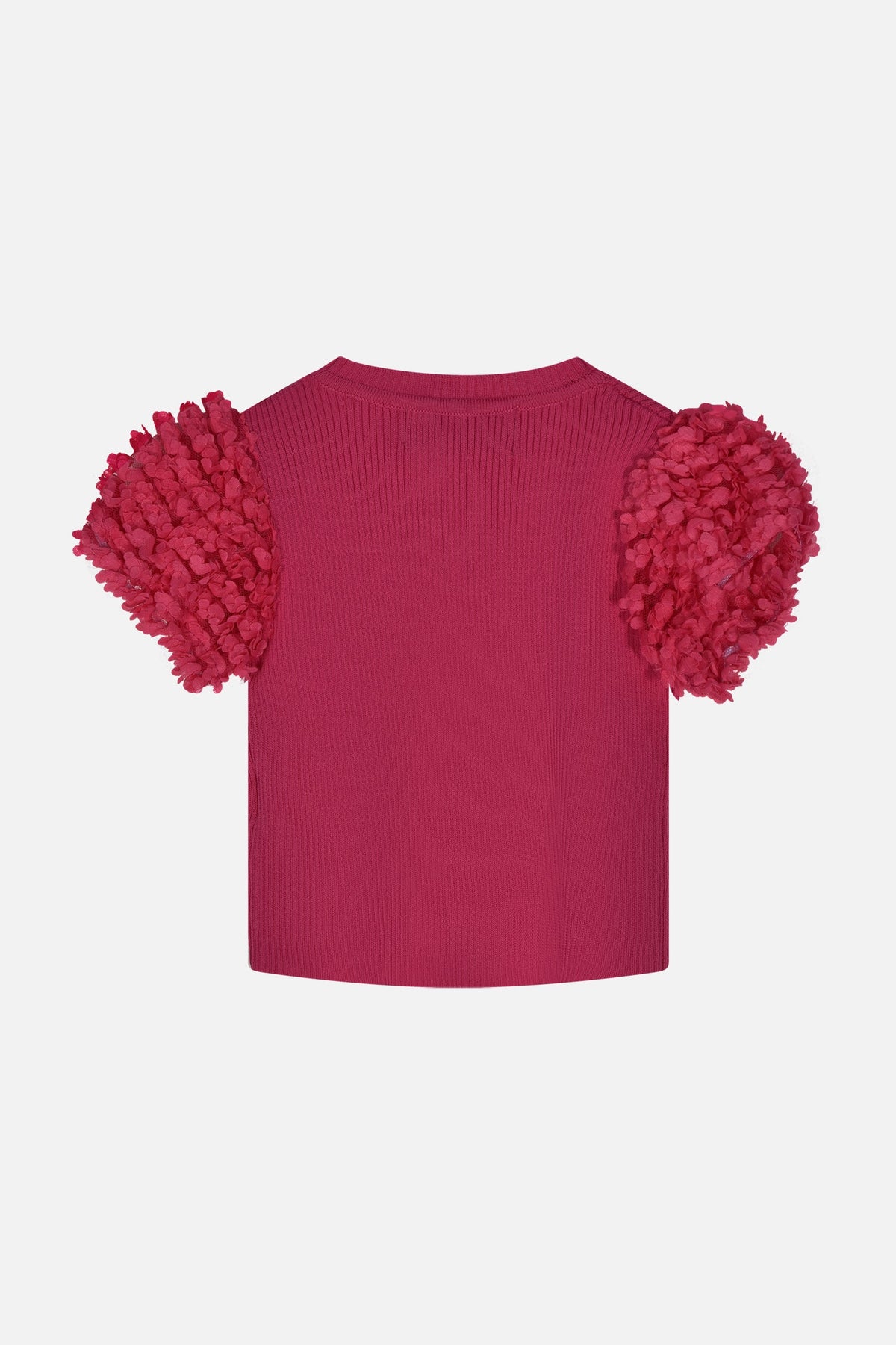 HLNTS01695.FUCSIA.2.jpg